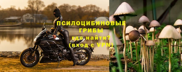 прущая мука Магас